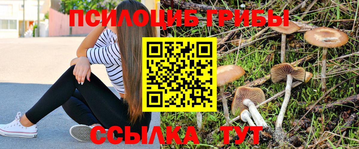 Галлюциногенные грибы Magic Shrooms  Псилоцибиновые грибы Cubensis  Вход с VPN  Видное 